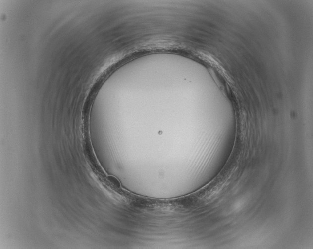 X0000069830439200606091450