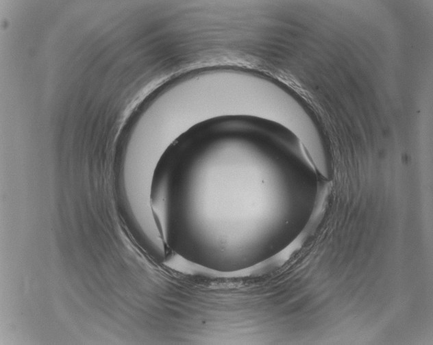 X0000069830440200606091450