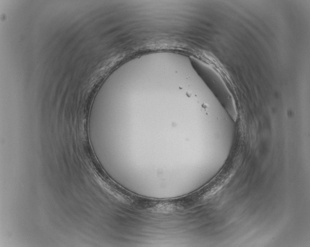 X0000069830441200606091450