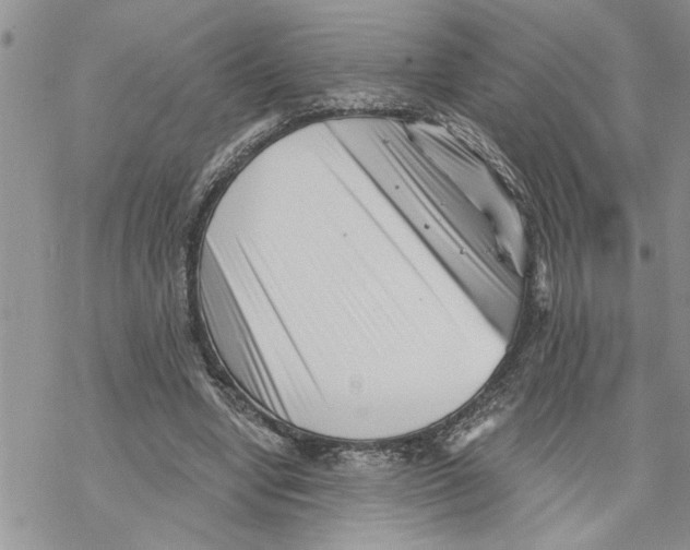 X0000069830442200606091450