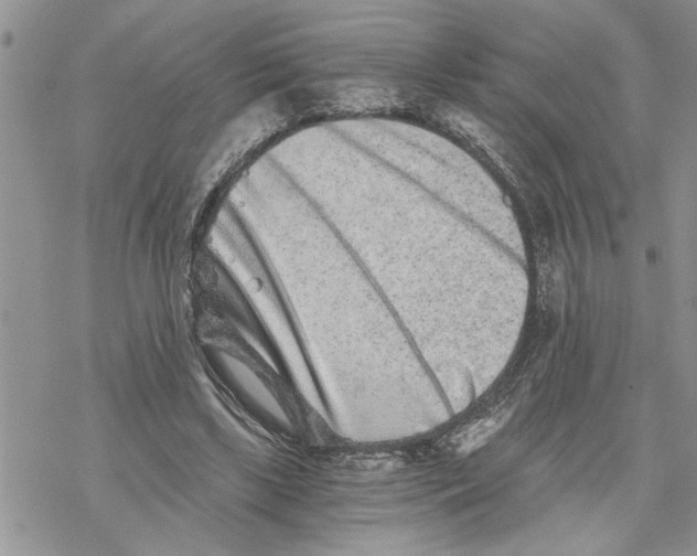 X0000069830443200606091450