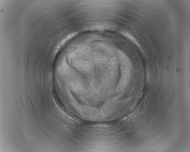 X0000069830444200606091450