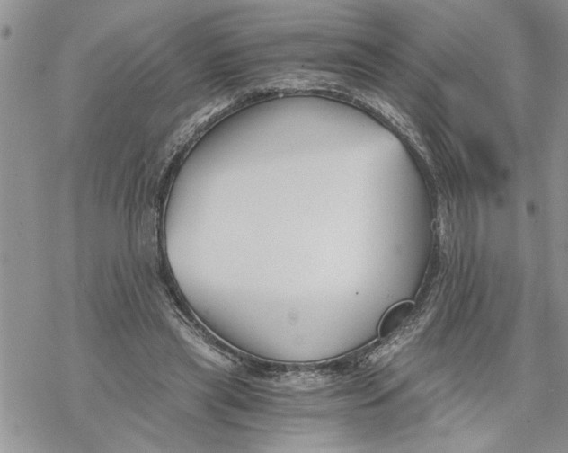 X0000069830445200606091450