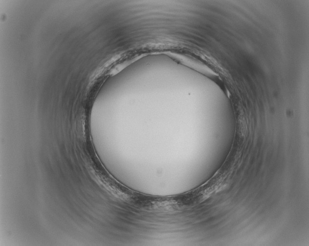 X0000069830446200606091450