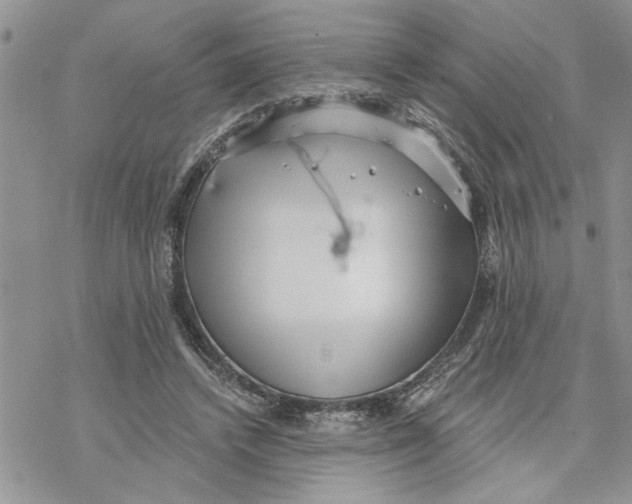 X0000069830448200606091450