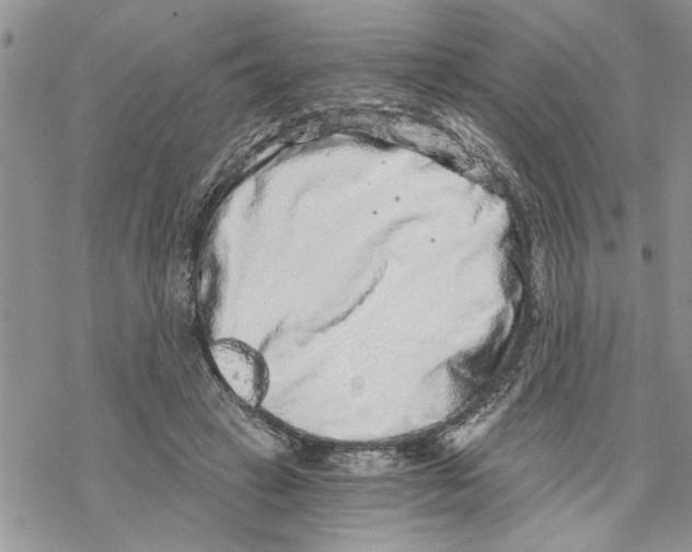 X0000069830449200606091450