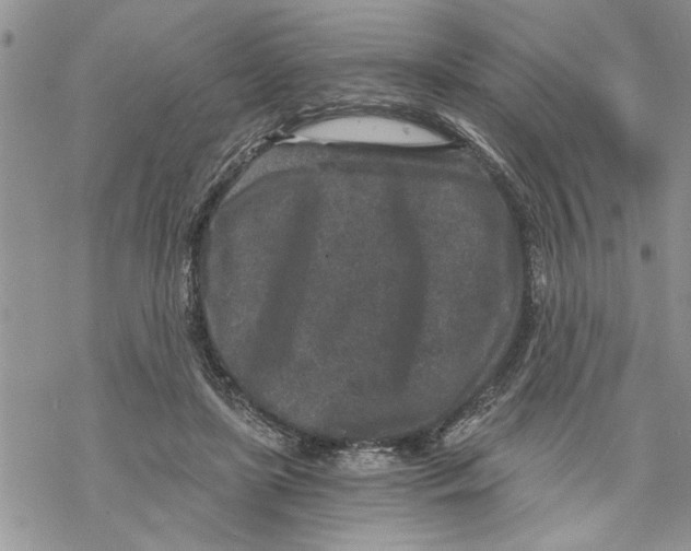 X0000069830451200606091450