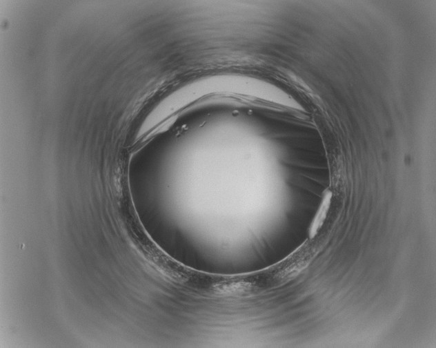 X0000069830452200606091450