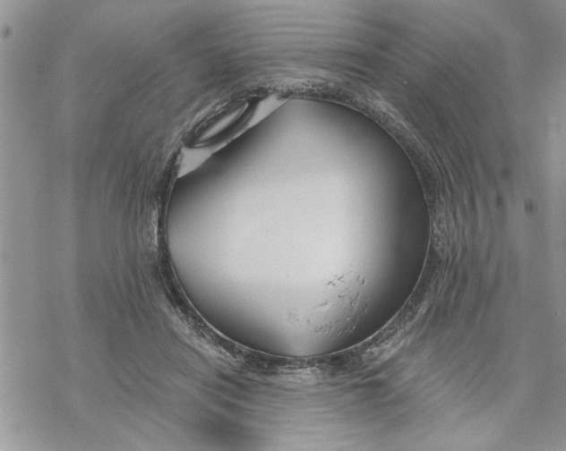 X0000069830454200606091450