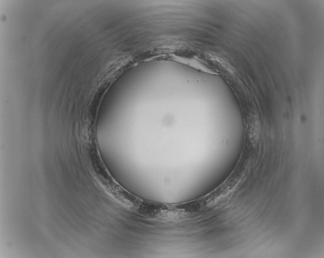 X0000069830455200606091450