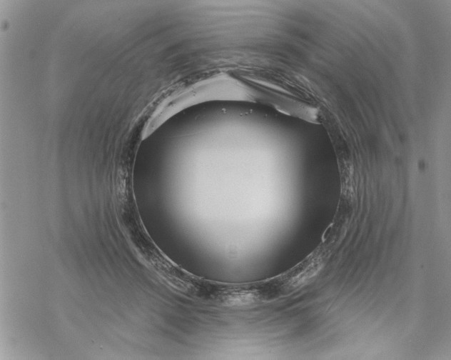 X0000069830456200606091450