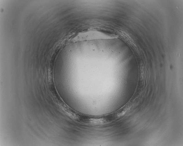 X0000069830457200606091450