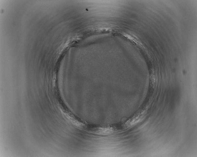 X0000069830458200606091450