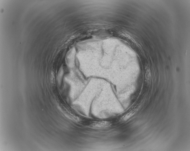 X0000069830459200606091450