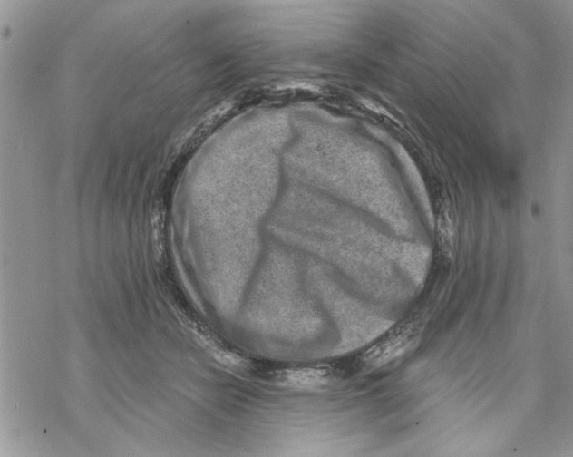 X0000069830462200606091450