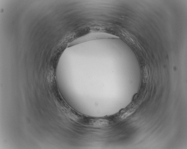 X0000069830463200606091450