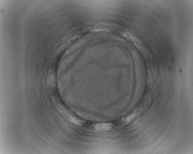 X0000069830465200606091450