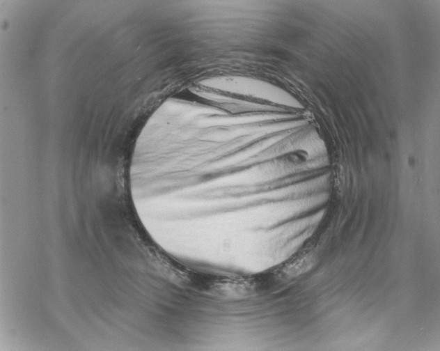 X0000069830466200606091450