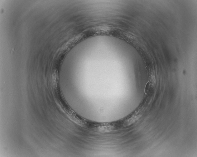 X0000069830468200606091450