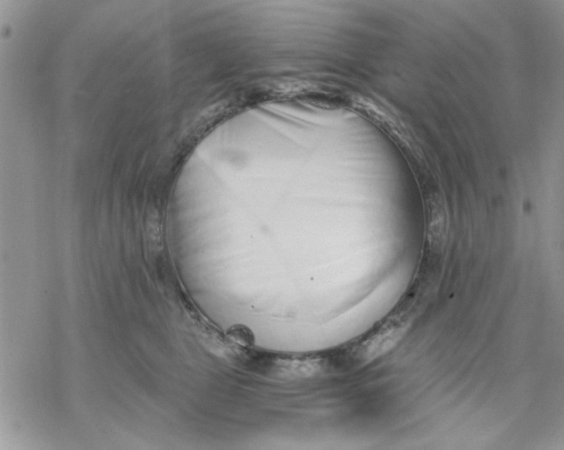 X0000069830469200606091450