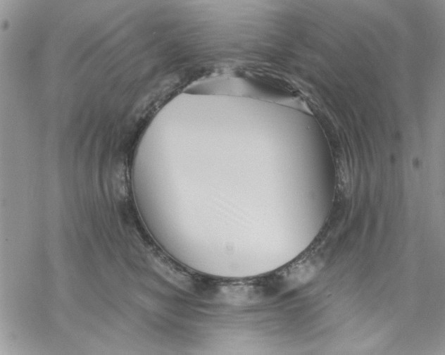 X0000069830470200606091450