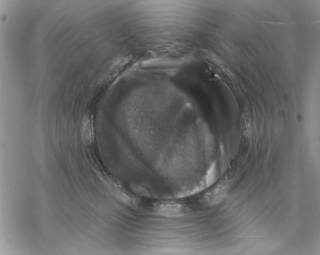 X0000069830471200606091450