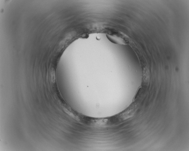 X0000069830474200606091450