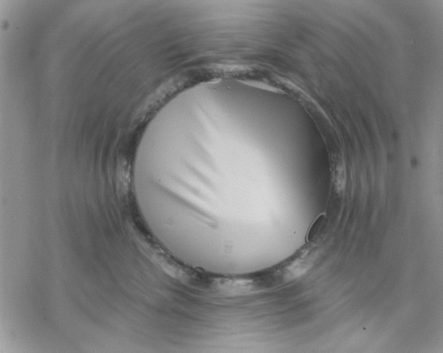 X0000069830476200606091450