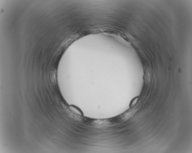 X0000069830477200606091450