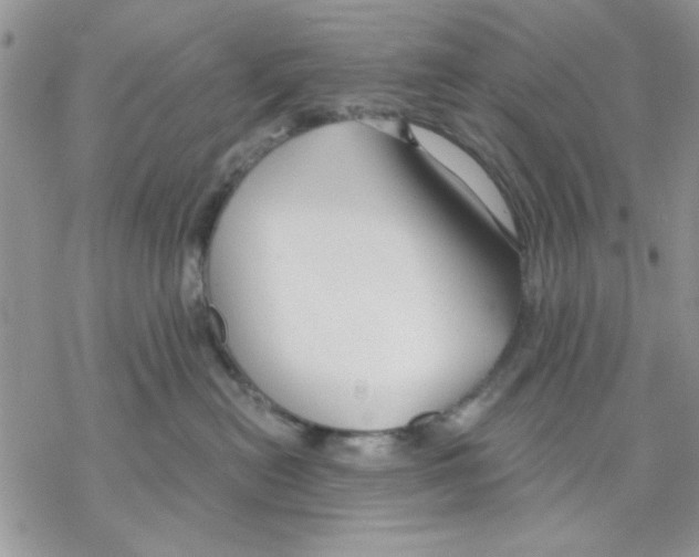 X0000069830478200606091450