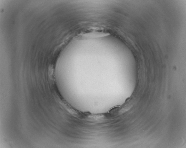 X0000069830480200606091450