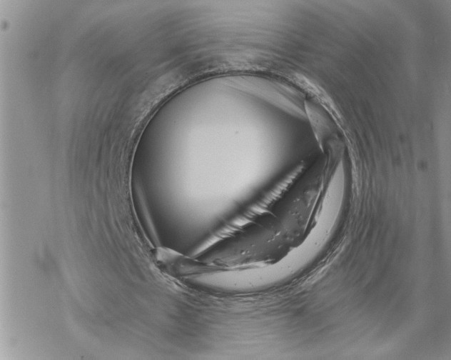 X0000069830481200606091449