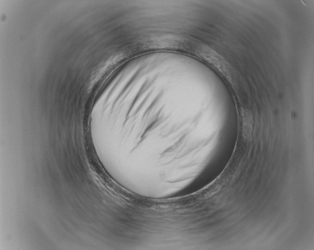 X0000069830482200606091449