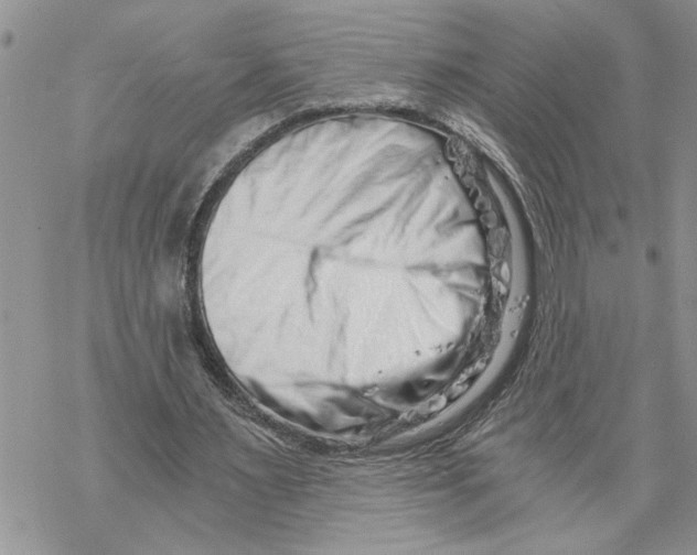 X0000069830483200606091449