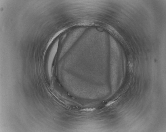 X0000069830484200606091449