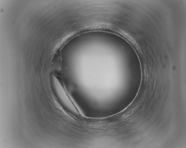 X0000069830485200606091449