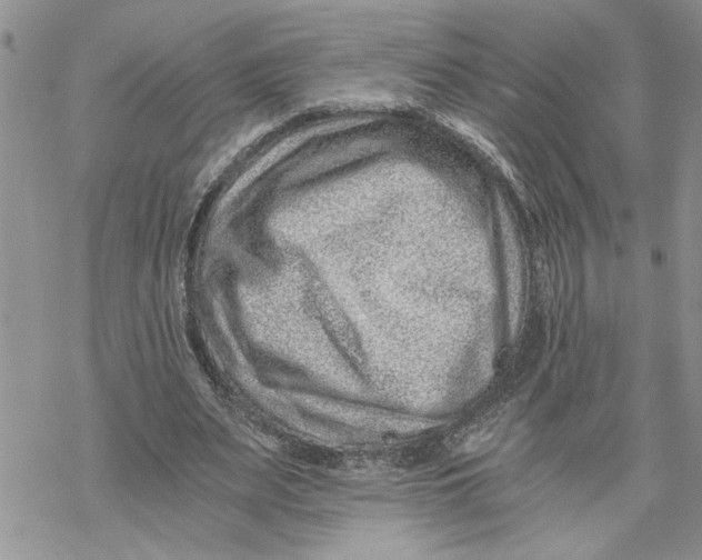 X0000069830487200606091449