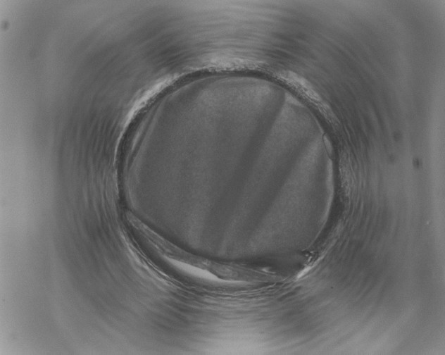 X0000069830488200606091449