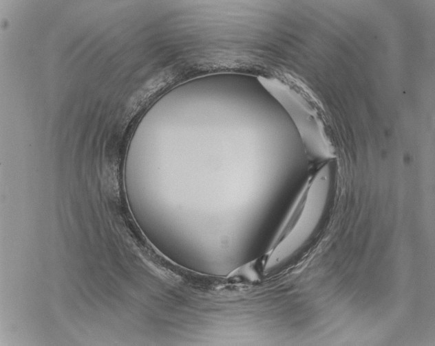 X0000069830489200606091449