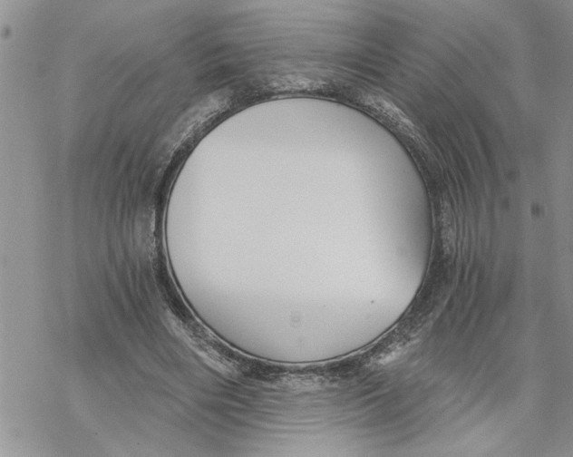 X0000069830490200606091449