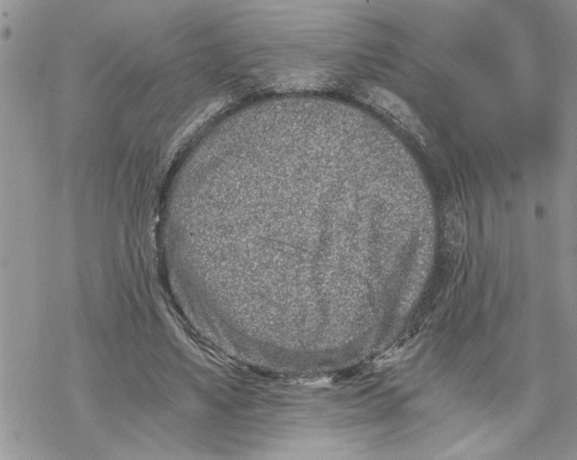 X0000069830491200606091449