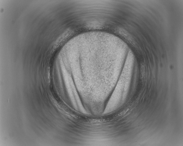 X0000069830494200606091449