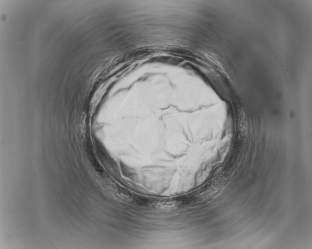 X0000069830495200606091449