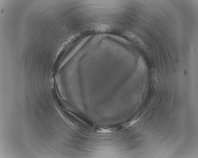 X0000069830496200606091449