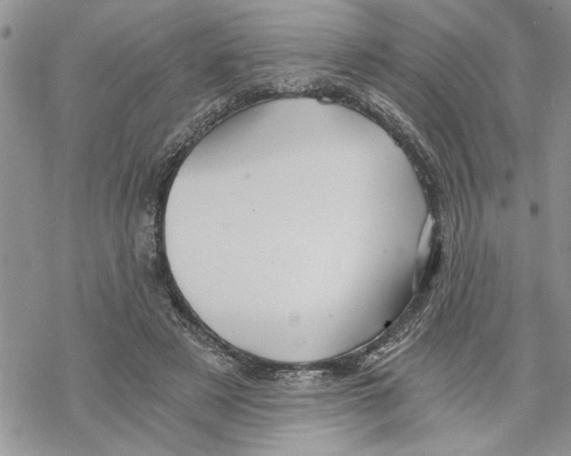 X0000069830497200606091449