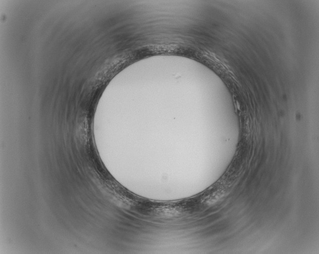 X0000069830498200606091449