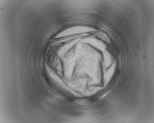 X0000069830499200606091449