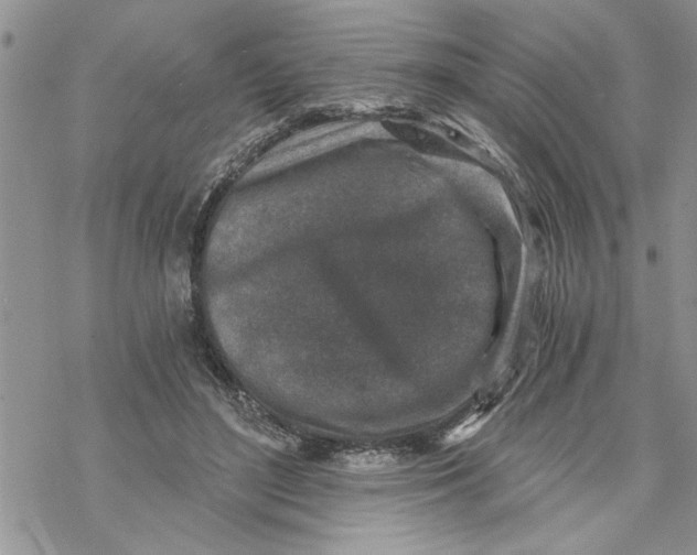 X0000069830500200606091449