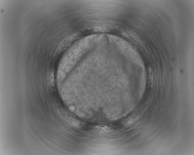 X0000069830502200606091449