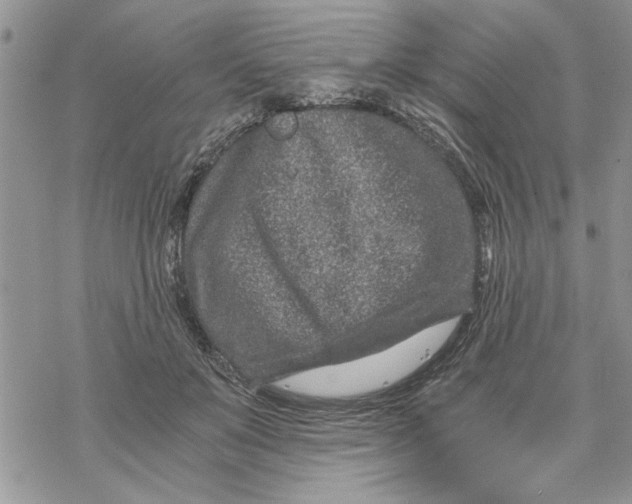 X0000069830503200606091449